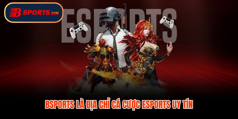 Cá cược Esports giao diện rõ nạp rút nhanh tiếng Việt