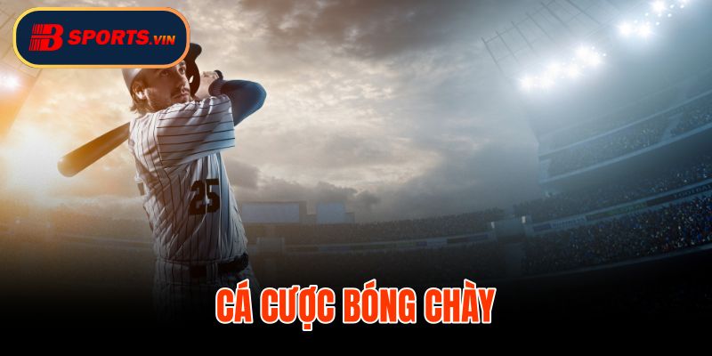 Cá Cược Bóng Chày