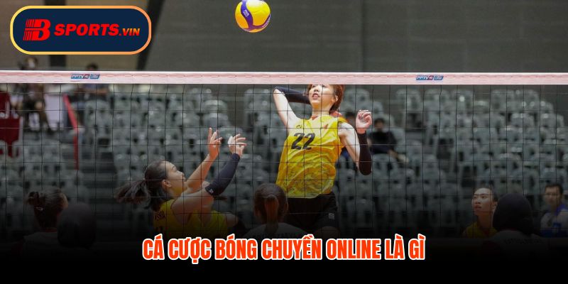 Cá cược bóng chuyền online khái quát kèo set và tiền cược