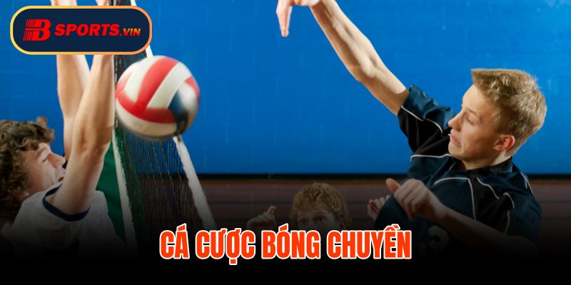 Cá Cược Bóng Chuyền