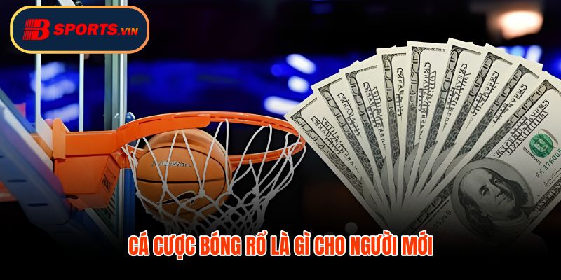 Cá cược bóng rổ nền tảng đọc trận cho người mới