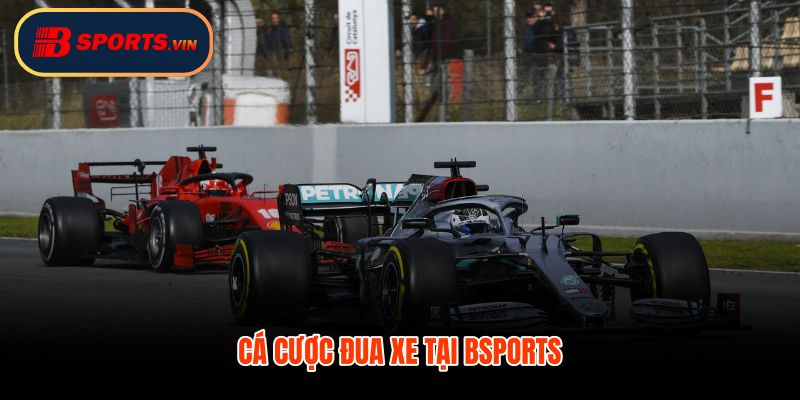 Cá cược đua xe tại Bsports với tỷ lệ rõ ràng
