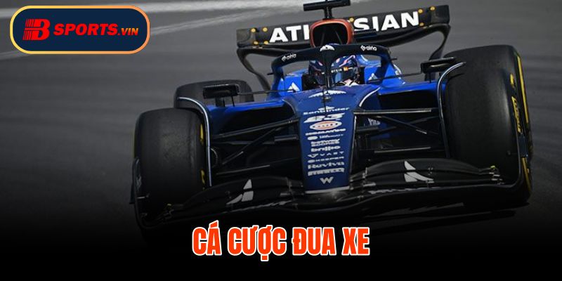 Cá Cược Đua Xe