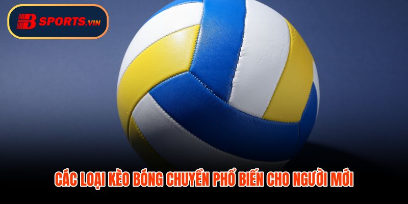 Cá cược bóng chuyền kèo thắng thua chấp tài xỉu set đấu
