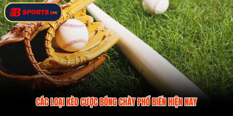 Cá cược bóng chày moneyline run line tổng điểm