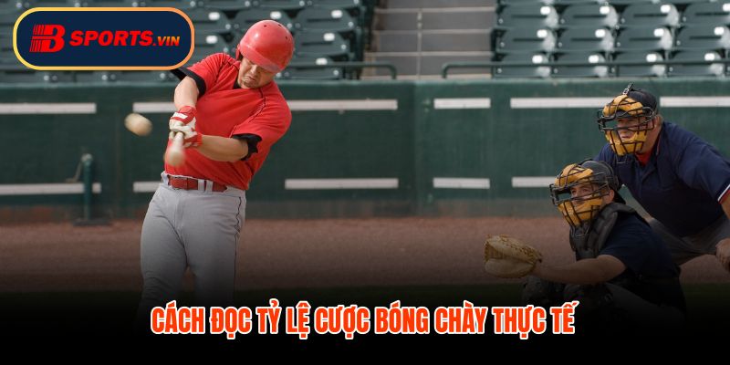 Cá cược bóng chày nhìn tỷ lệ và xác suất