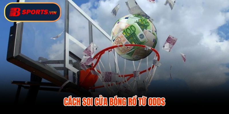 Odds cá cược bóng rổ và tín hiệu xác suất nhà cái