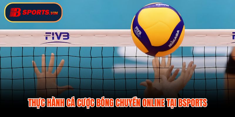 Cá cược bóng chuyền tại Bsports cách đọc tỷ lệ và đặt phiếu
