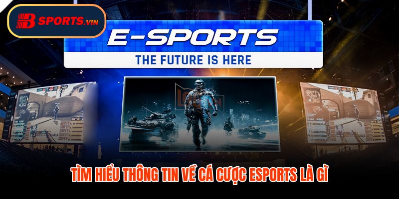 Cá cược Esports nhịp trận đội hình cửa thắng thua